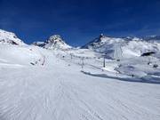 Makkelijke piste bij de oefenlift Velill