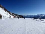 Start van de piste Doss dei Cembri