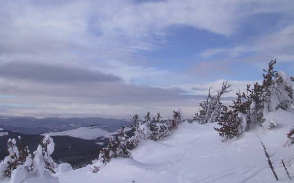 Hoogste skigebied op het Interior Plateau – skigebied Apex Mountain Resort
