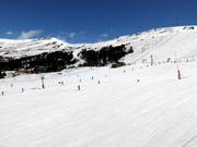 Beginnersgebied Grau Roig