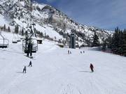 Makkelijke pistes bij de stoeltjeslift Chickadee