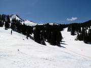 De pistes in de Prospect Bowl