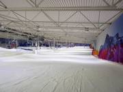 Gemakkelijke piste Familiebakke