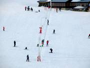 Patti broddgöltur - Sleeplift/babyllift