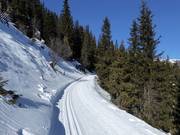 Hoogteloipe Platschjoch