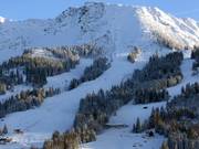 Zwarte ATA trainingspiste