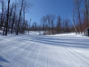 Droomachtige afdalingen door Canadese bossen