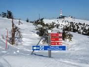 Pistebewegwijzering in het skigebied Ruka