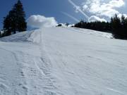 De steile Kreuzlesteilhang