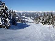Piste Das S