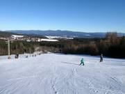 Makkelijke piste bij de Forsthauslift