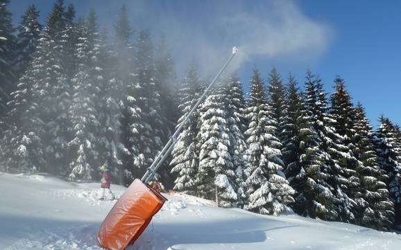 Sneeuwzekerheid Noordwest-Tsjechië (Severozápad) – Sneeuwzekerheid Keilberg (Klínovec)