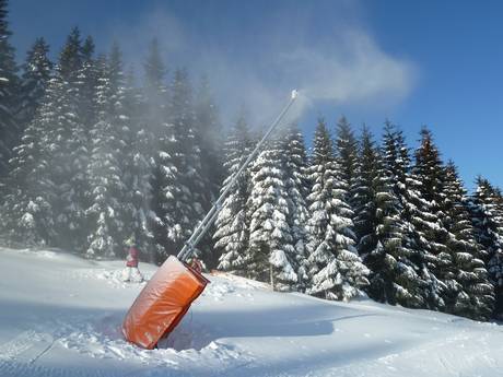 Sneeuwzekerheid Ertsgebergte – Sneeuwzekerheid Keilberg (Klínovec)