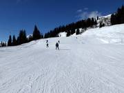 Makkelijke piste bij de oefenlift Caischavedra