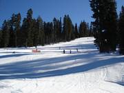 Bosglooiingspistes in het skigebied Sierra at Tahoe
