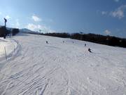 Brede en gemakkelijke piste Family