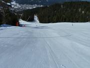 Alles mooi gladgestreken