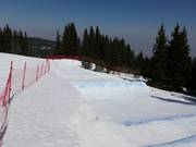 Boardercross Vitosha