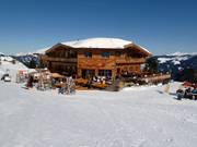 Platzlam midden in het skigebied Hochzillertal