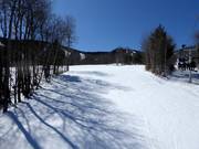 Gemakkelijke piste Broadway