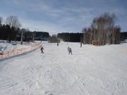 Afdalingen voor beginners