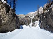 Piste nr. 62 Vitelli Bassa