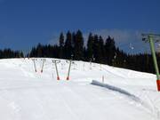 Wasenlift I - Sleeplift met T-beugel/Ankerlift