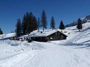 Berghutten tip Bäsäbeiz Waldhüttli