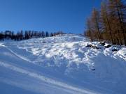 Freeride-gebied Gamskogel