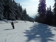 Zuidafdaling Ochsenkopf