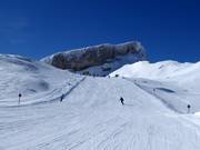 IF5 Ski-glijroute Gottesacker