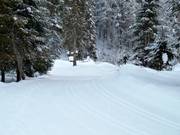 Langlaufloipe in het Lammertal