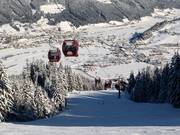 8er Königslehenbahn I - 8-persoons gondel (met 1 kabel)