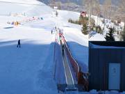 Zauberteppich Goldeck - Transportband/Moving Carpet