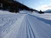 Langlaufen Zwitserland – Langlaufen Languard – Pontresina