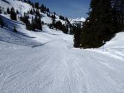 Gemakkelijke piste Hühnerspiel-Lochstafel