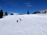 Zeer goede pistepreparatie in Brighton