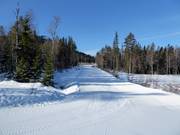 Gemakkelijke piste Skogsnigeln