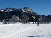 Langlaufloipes in het Tannheimer Tal
