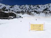 Makkelijke piste bij de stoeltjeslift Snowpine