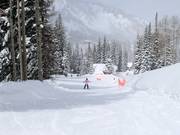 Oefengebied bij de transportband Caterpillar