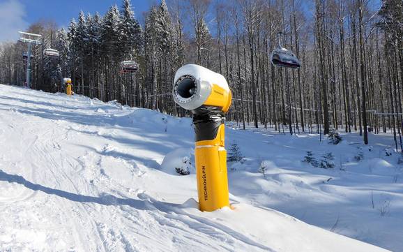 Sneeuwzekerheid Freyung-Grafenau – Sneeuwzekerheid Mitterdorf – Almberg