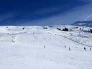 Benni Raich-afdaling