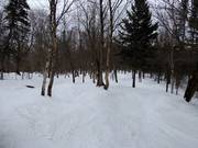 Gemakkelijke piste La Casimir