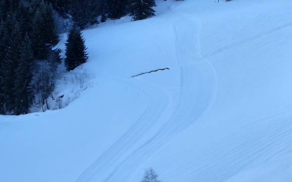 Langlaufen Saalfelden Leogang – Langlaufen Saalbach Hinterglemm Leogang Fieberbrunn (Skicircus)