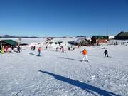 Makkelijke pistes in het dalgebied
