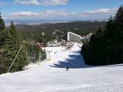 Piste Martinovi baraki 2