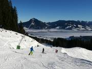 Middelzware familieafdaling