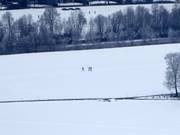 Langlaufen in Kirchdorf in Tirol