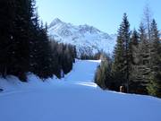 Middelzware dalafdaling